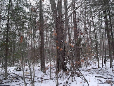 4100 Long Lake Rd, Cheboygan, MI 49721 - photo 4