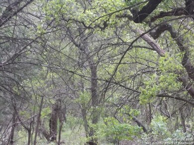 24802 N Saddle Trail, San Antonio, TX 78255 - photo 7