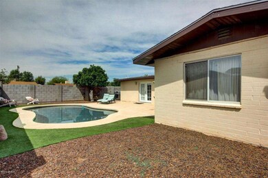 Rear Yard.jpg