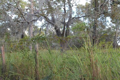 10132 New York Ave, Hudson, FL 34667 - photo 4