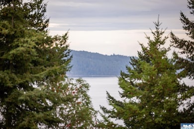 382 Discovery View Dr, Sequim, WA 98382 - photo 2