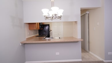 123 Willow Brook Ct unit 3, Schaumburg, IL 60195 - photo 7