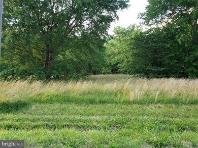 697 Peach Basket Rd, Felton, DE 19943 - photo 4