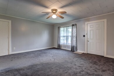116 Camellia-4
