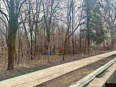 318 Winter Ave, Albert Lea, MN 56007 - photo 2