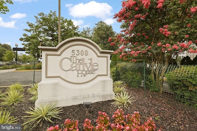 The Carlyle House unit 205, Arlington, VA 22204 - photo 2