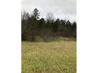 00 Old Tyler Rd, Nacogdoches, TX 75964 - photo 3