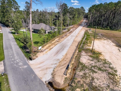 34754 Clinton Allen Rd, Denham Springs, LA 70706 - photo 3