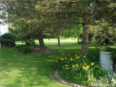 Yard/Garden Large open yard with mature trees and 