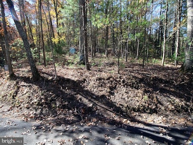 0 Breckinridge Rd, Basye, VA 22810 - photo 6