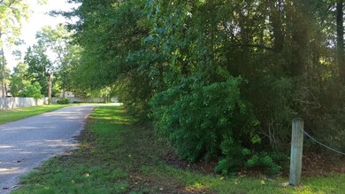 00 Lakewood Dr, Conroe, TX 77385 - photo 3