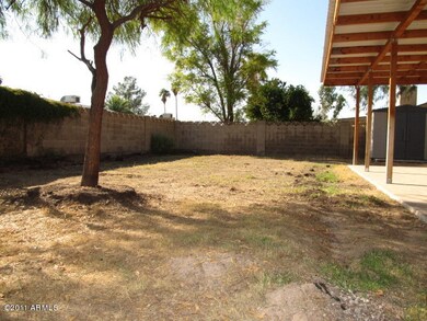 023-334317 - backyard