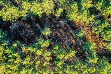 57-3 Jesse Ln, Littleton, NH 03561 - photo 2