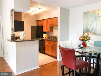 1538 Lincoln Way unit 304, McLean, VA 22102 - photo 6