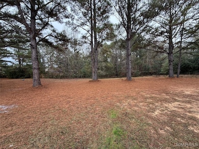 145 Lakewood Rd, Jones, AL 36749 - photo 5