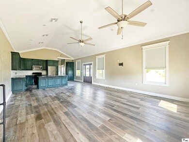 715 New Mineral Springs Rd, Calhoun, LA 71225 - photo 4