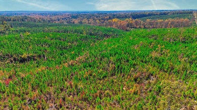 Drone / aerial view featuring a forest view