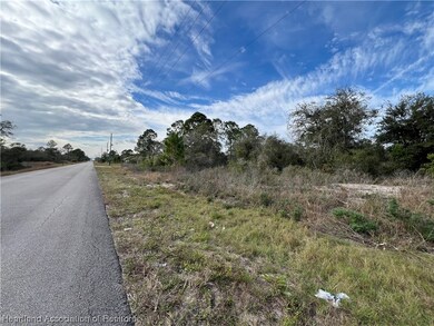 324 Jack Weisser Blvd, Lake Placid, FL 33852 - photo 5