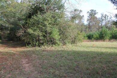 TBD U S 280 W, Americus, GA 31709 - photo 4