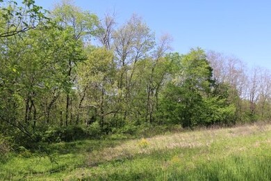 5.5 AC Alpine Rd, Brooklyn, WI 53521 - photo 2