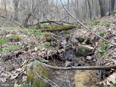 LOT 19 SEC 14 High Knob Rd, Old Fields, WV 26845 - photo 6