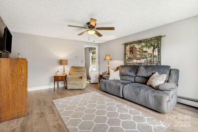 1058 Howard Gap Loop Rd, Flat Rock, NC 28731 - photo 5