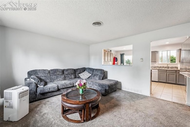 1840 Okeechobee Dr, Colorado Springs, CO 80915 - photo 3