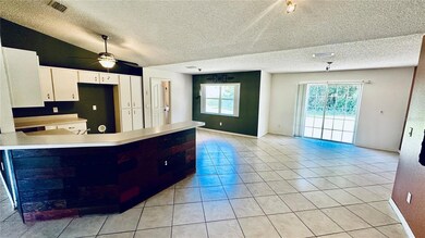 Kitchen, dinette, living room