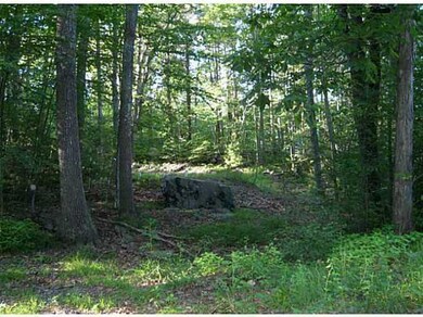 138 Scituate Rd, York, ME 03909 - photo 4