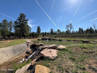 2221 W Edgewater unit Lot 57, Show Low, AZ 85901 - photo 7