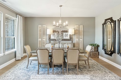 16421 Boston Ivy Dr, Justin, TX 76247 - photo 5