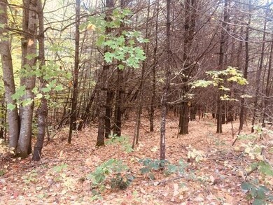 L7 Burley Park Dr, Wakefield, NH 03830 - photo 3