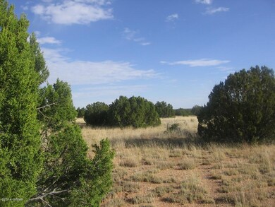 Joan 14 acres  Mulvhill 019