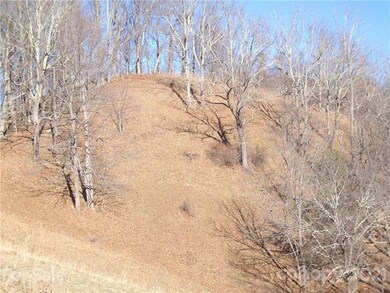 More mountain pasture