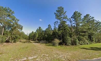 0 Maryland Ave unit 25640315, Hawthorne, FL 32640 - photo 4