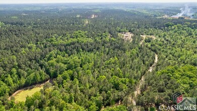 1602 Hulmes Chapel Rd, Elberton, GA 30635 - photo 3