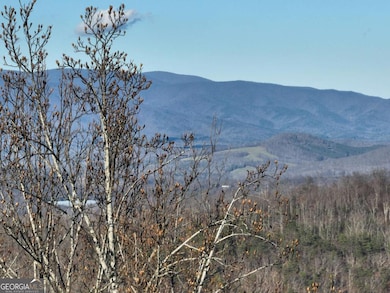 281 Andes Ridge, Ellijay, GA 30536 - photo 3