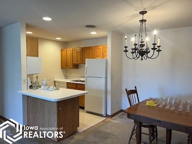 1806 E Maple Grove Ln, Mount Pleasant, IA 52641 - photo 6