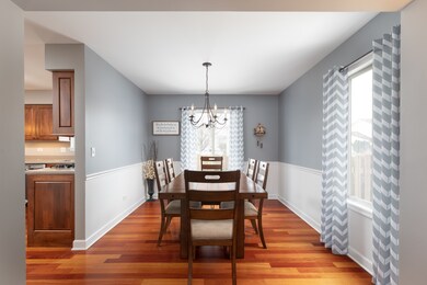 2480 Warm Springs Ln, Naperville, IL 60564 - photo 5