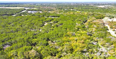 1697 Red Bud Ct, Whitney, TX 76692 - photo 5