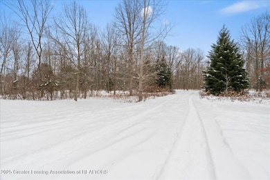 4365 Mack Rd, Howell, MI 48855 - photo 5