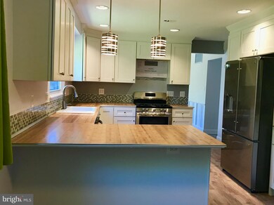 313 Sacred Heart Ln, Reisterstown, MD 21136 - photo 2