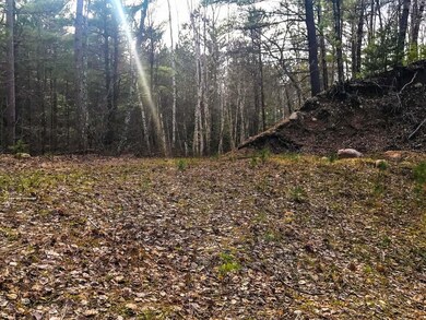 Lots1&19 Whitetailed Deer Dr, Tomahawk, WI 54487 - photo 3