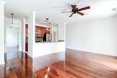 21 George 207 -Tidalcreekphoto- (21)