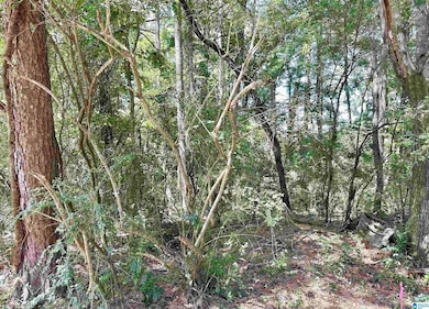 2520 Janice Cir NE, Birmingham, AL 35235 - photo 2