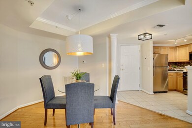 3835 9th St N unit 604W, Arlington, VA 22203 - photo 7