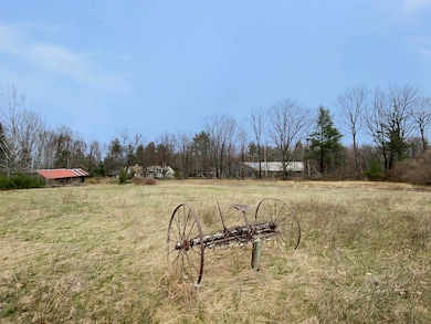 110 Pearson Hill Rd, Webster, NH 03303 - photo 6