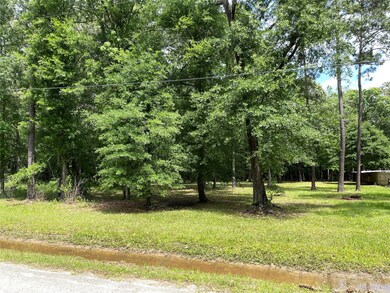 0 County Road 3750 N, Cleveland, TX 77328 - photo 2