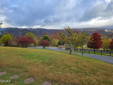 720 N Mohawk Dr, Erwin, TN 37650 - photo 7
