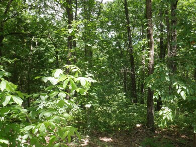 Tbd Tract #1 Private Rd 1197, Aurora, MO 65605 - photo 3